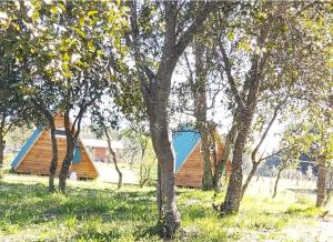 Aed väljaspool majutusasutust A-FRAME CABIN PUCON