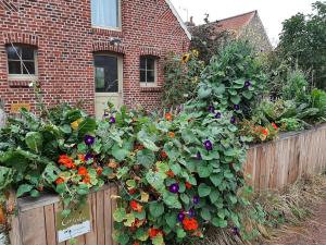 un jardín de flores en una valla frente a una casa en Les Jardins d'Olus en Wandignies-Hamage