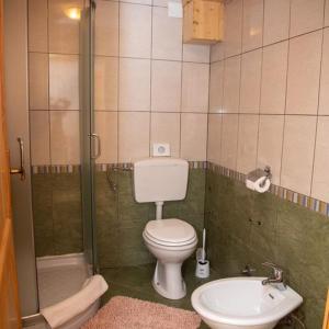 een badkamer met een toilet, een wastafel en een douche bij Guest House Ema in Crni Lug