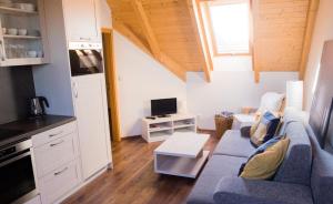 TV a/nebo společenská místnost v ubytování Apartman Apollon Resort Lednice