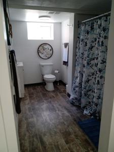 a bathroom with a toilet and a shower curtain at Toronto Furnished Living- Niagara Falls in Niagara Falls