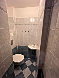 uma casa de banho com um WC e um lavatório em Apartmán U tří jehňátek em Karlovy Vary