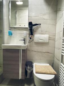 a bathroom with a toilet and a sink and a mirror at Studio 20qm mit Balkon und Innenpool - 22031 in Schluchsee