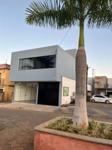 a palm tree in front of a building at Canastra Flat Hospedagem in Vargem Bonita