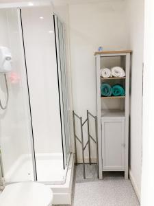 La salle de bains est pourvue d'une douche, de toilettes et d'un miroir. dans l'établissement Beautiful 2 Bed Serviced Apartment in Dunbar, à Dunbar