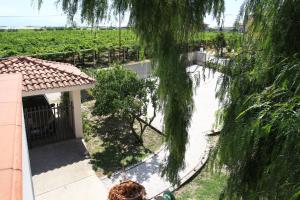 TolloにあるB&B Bonaventura and Bonaventura Foodのブドウ畑のある庭の上空の景色