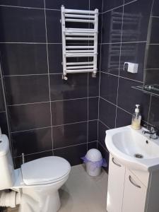 a bathroom with a white toilet and a sink at Willa Rosa - Dom dla 20 osób z jacuzzi i sauną ogrodową Kaszuby in Bukowina