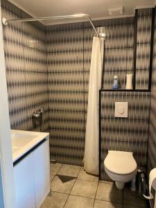 bagno con servizi igienici e lavandino di Appartement Ledeberg a Gand