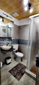 a bathroom with a toilet and a sink and a shower at Trilocale mansardato nel cuore della Val Di Fiemme in Ziano di Fiemme