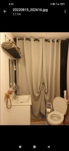 łazienka z umywalką, toaletą i zasłoną prysznicową w obiekcie U San Francescu Maisonette Modulaire Type studio w mieście Volpajola