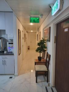a hallway with a table and a potted plant at J-MOTEL in Jerusalem