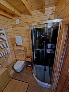 a wooden bathroom with a shower and a toilet at Leśna Chatka in Kłodzko