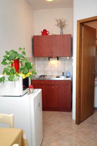 Kuchyň nebo kuchyňský kout v ubytování Apartments with a parking space Privlaka, Zadar - 667