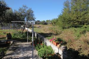 Zahrada ubytování Apartments with a parking space Privlaka, Zadar - 667