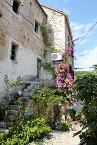 Zahrada ubytování Apartments by the sea Pucisca, Brac - 770