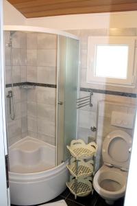 a small bathroom with a shower and a toilet at Apartments by the sea Mimice, Omis - 656 in Mimice