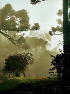 Foto dalla galleria di Pousada Casa da Paz a Gramado Altre 70 foto