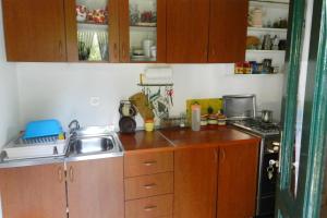 Kjøkken eller kjøkkenkrok på Family friendly house with a parking space Pucisca, Brac - 749