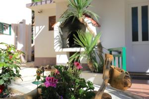 Vonkajšia záhrada v ubytovaní Holiday house with a parking space Brela, Makarska - 788