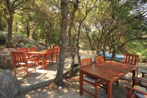 Apartments and rooms by the sea Lucica, Lastovo - 990外面的花园