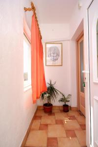 Fotografie z fotogalerie ubytování Family friendly seaside apartments Kraj, Pasman - 699 v destinaci Tkon