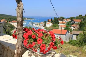 Gallery image of Apartments with WiFi Zman, Dugi otok - 887 in Žman