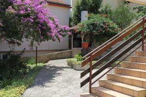 Vonkajšia záhrada v ubytovaní Apartments with a parking space Sali, Dugi otok - 872