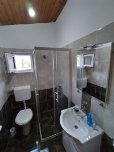 łazienka z toaletą, umywalką i prysznicem w obiekcie Secluded fisherman's cottage Cove Jaz - Telascica, Dugi otok - 876 w mieście Sali