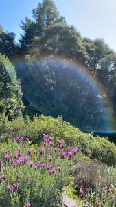 a rainbow over a field of flowers and a mountain at Bush Line Lodge in Motueka