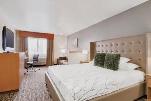 Un pat sau paturi într-o cameră la Best Western PLUS Peppertree Airport Inn