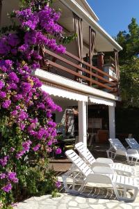 Fotografia z galérie ubytovania Apartments by the sea Marusici, Omis - 1040 v Mimiciach