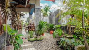 SitubondoにあるJeru Homestayのヤシの木や植物が植わる中庭