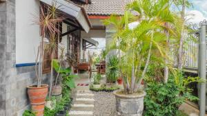 a courtyard of a house with palm trees at Jeru Homestay in Situbondo