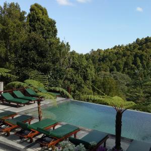 una piscina con tumbonas y árboles en BINTANG MUNDUK en Munduk