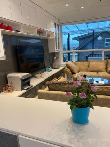a living room with couches and a tv at Six minutes to Rupert station in Vancouver