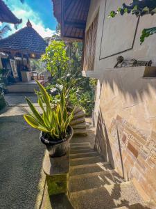 Fotografie z fotogalerie ubytování Made Punia's Jungle v Ubudu