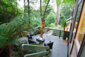 a wooden deck with chairs and a tree on it at Tree Top Stay in Olinda