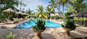 uma piscina de resort com espreguiçadeiras e palmeiras em Golden Beach Paradise em Tangalle