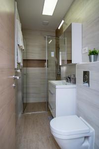 a bathroom with a toilet and a sink and a shower at Rooms with a parking space Daruvar, Bjelovarska - 18842 in Daruvar