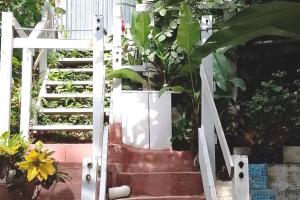 an open door to a garden with plants at Cozy Cabana1 in Roatán
