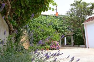 Zahrada ubytování Apartments with parking space Bibinje, Zadar - 18843