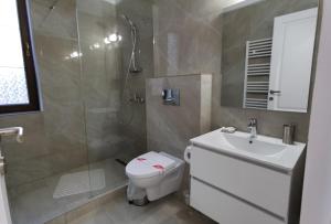 Un baño con inodoro, ducha y lavabo. en Onix Baile Herculane, en Băile Herculane 13 fotos más