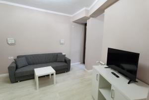 Una sala de estar con un sofá y un televisor. en Onix Baile Herculane, en Băile Herculane