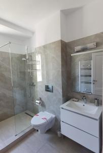 Un baño con ducha, inodoro y lavabo. en Onix Baile Herculane, en Băile Herculane