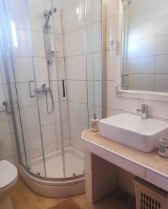 Koupelna v ubytování Family friendly house with a swimming pool Bulic, Zagora - 18943