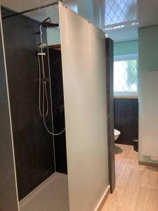 a bathroom with a shower with a glass door at Rhineview 549 - Rheinblick 549 im Mittelrheintal in Oberwesel