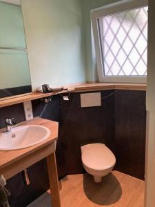 a bathroom with a sink and a toilet and a window at Rhineview 549 - Rheinblick 549 im Mittelrheintal in Oberwesel