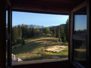 a window with a view of a field with trees at Nadgora SkyHouse in Žabljak