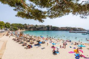 Táj Show holiday homes közelében