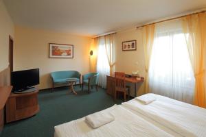 Pokój hotelowy z łóżkiem, biurkiem i telewizorem w obiekcie Hotel Palace w Pilznie